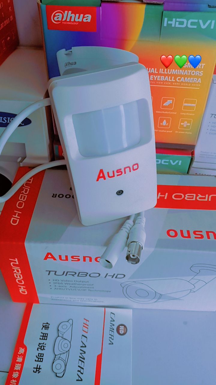 Analog 2mp 1080P PIR Audio / Video Camera