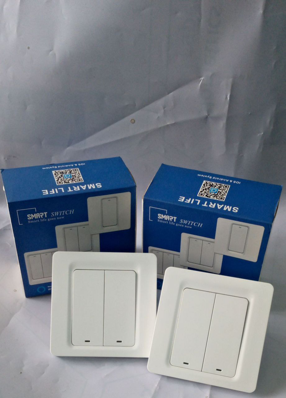 2gang Smart Life /Tuya Wifi Smart Automation Switch 220V