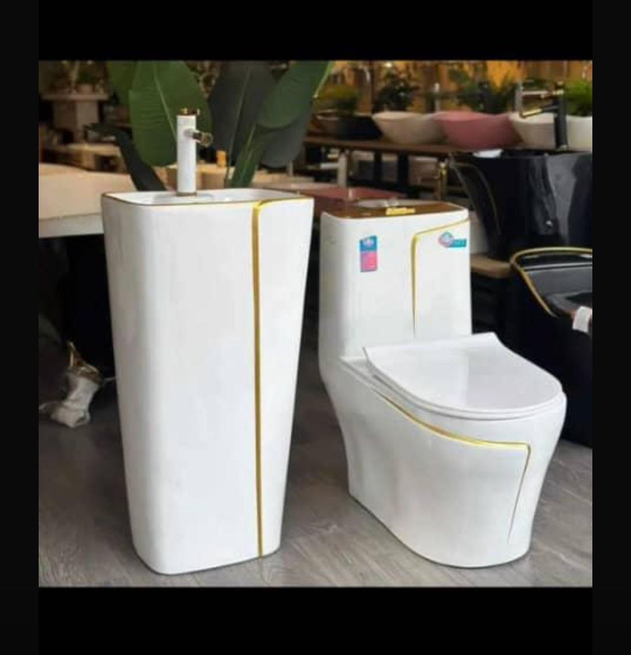 LUXURY WC &amp; STANDING BASIN GOLDLINE